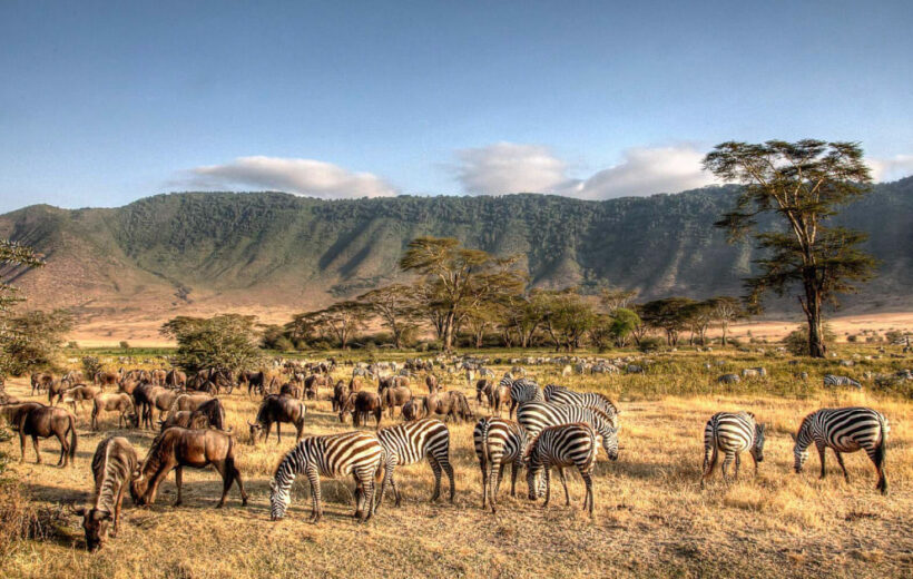12 Day: Tanzania Luxurious Wildlife Safari & Zanzibar Beach Holiday